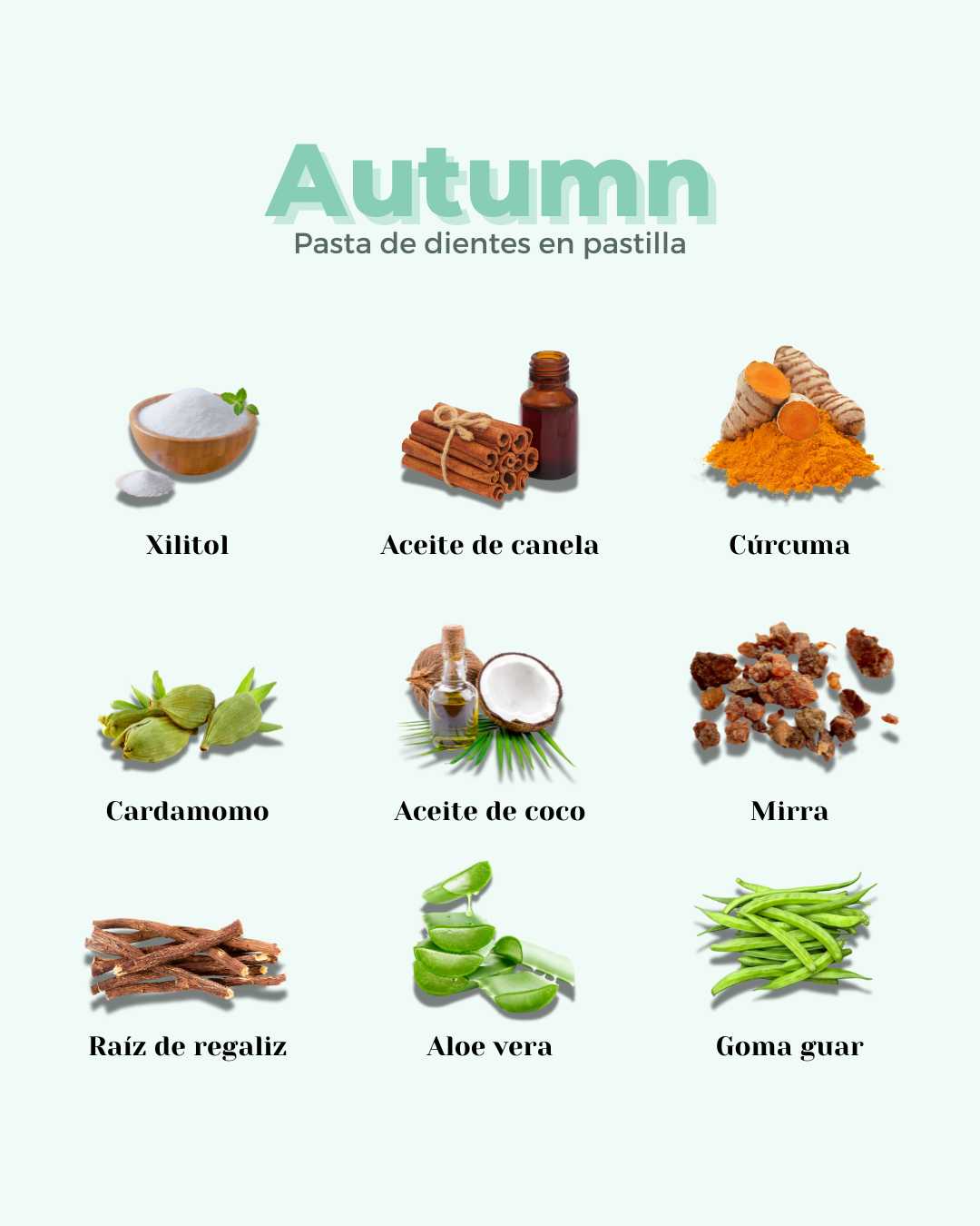 Pasta de Dientes en Pastilla ECO AUTUMN