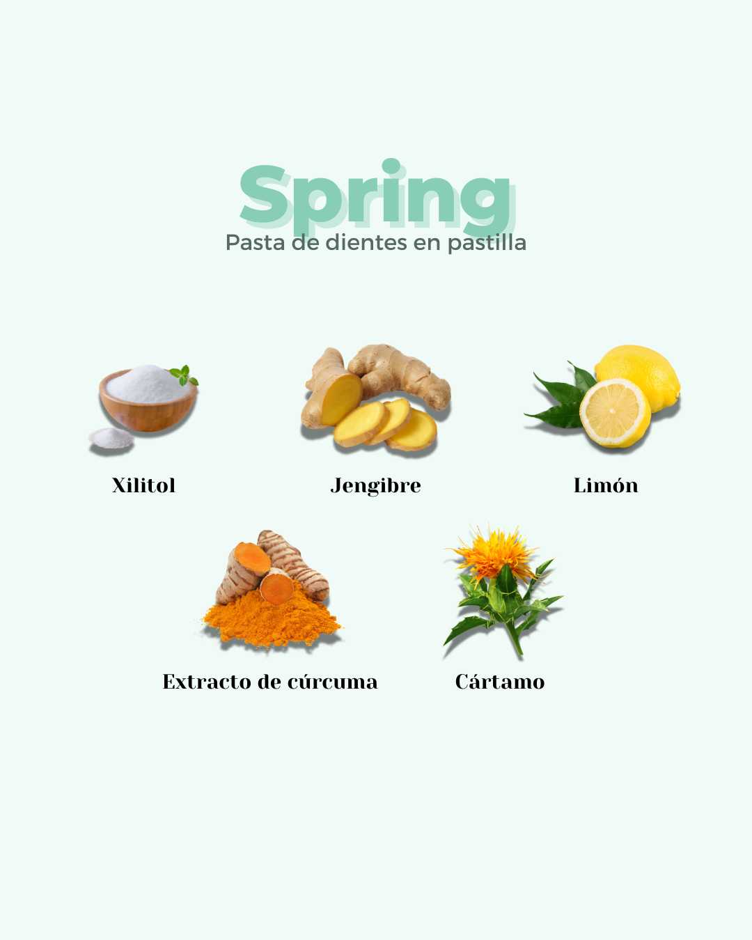 Pasta de Dientes en Pastilla ECO SPRING