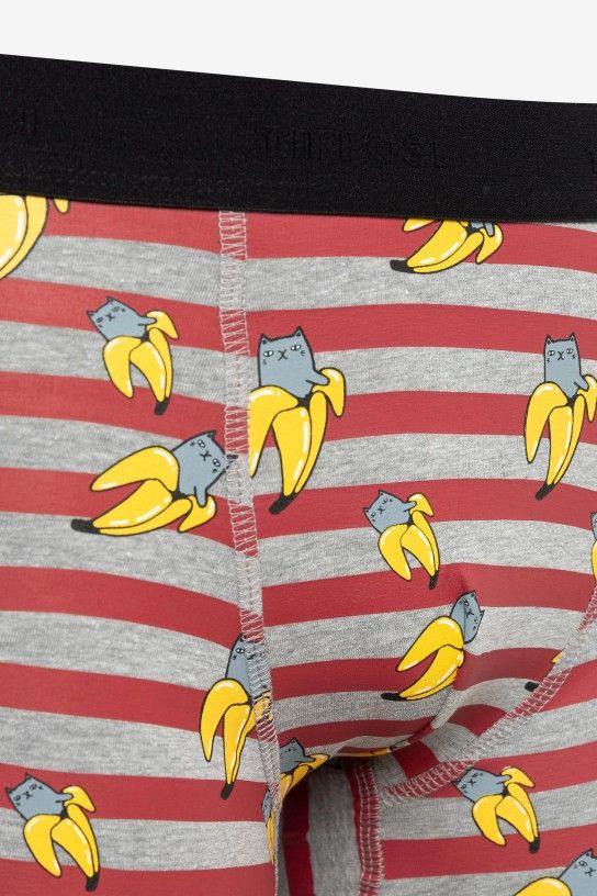 Boxer gatitos y plátano Wesseon