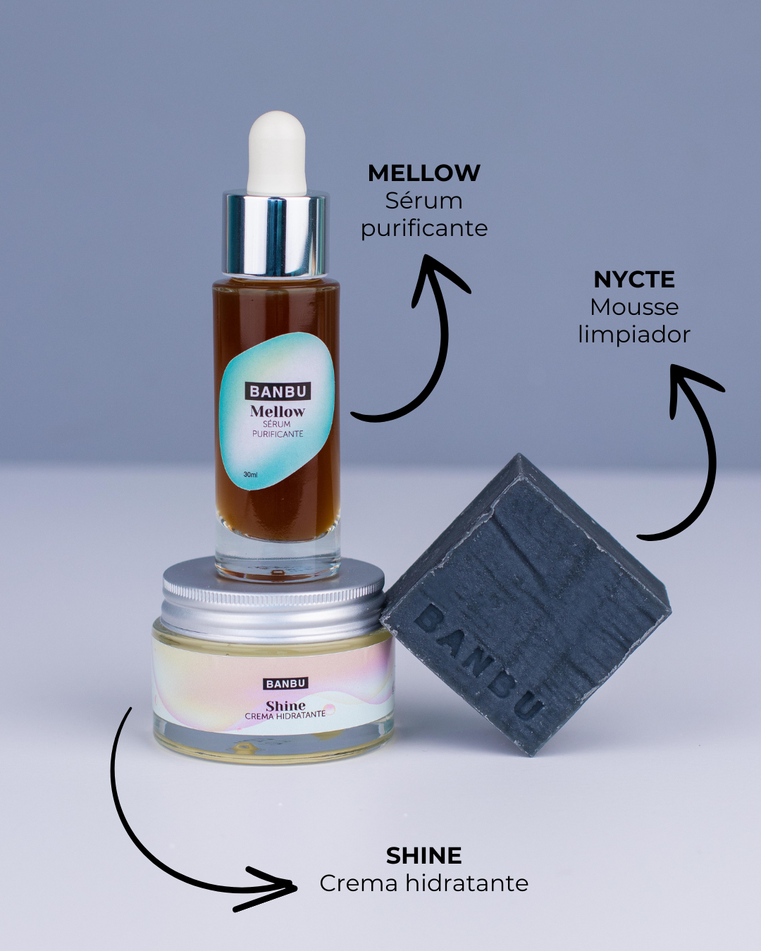 Pack Rutina Facial MEDIA ECO - Well Aging PIEL MIXTA Y GRASA