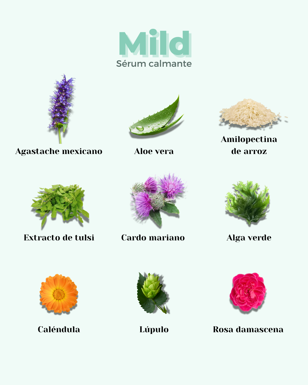 Sérum Facial Calmante Pieles Sensibles con Rojeces MILD