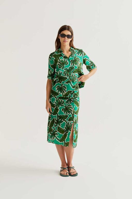 Falda Palm Tree