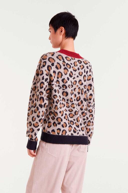 Jersey Leopard