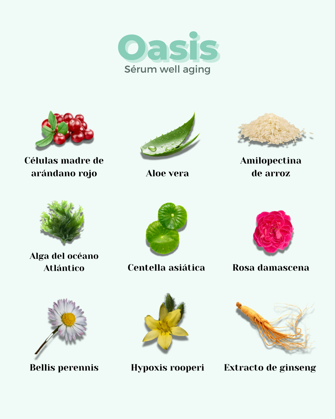 Sérum Facial ECO Well Aging OASIS