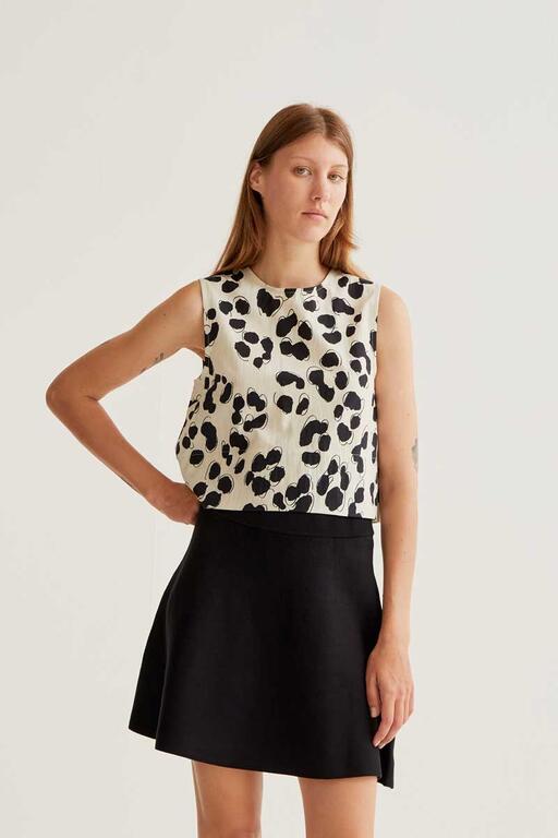 Top Dalmatian